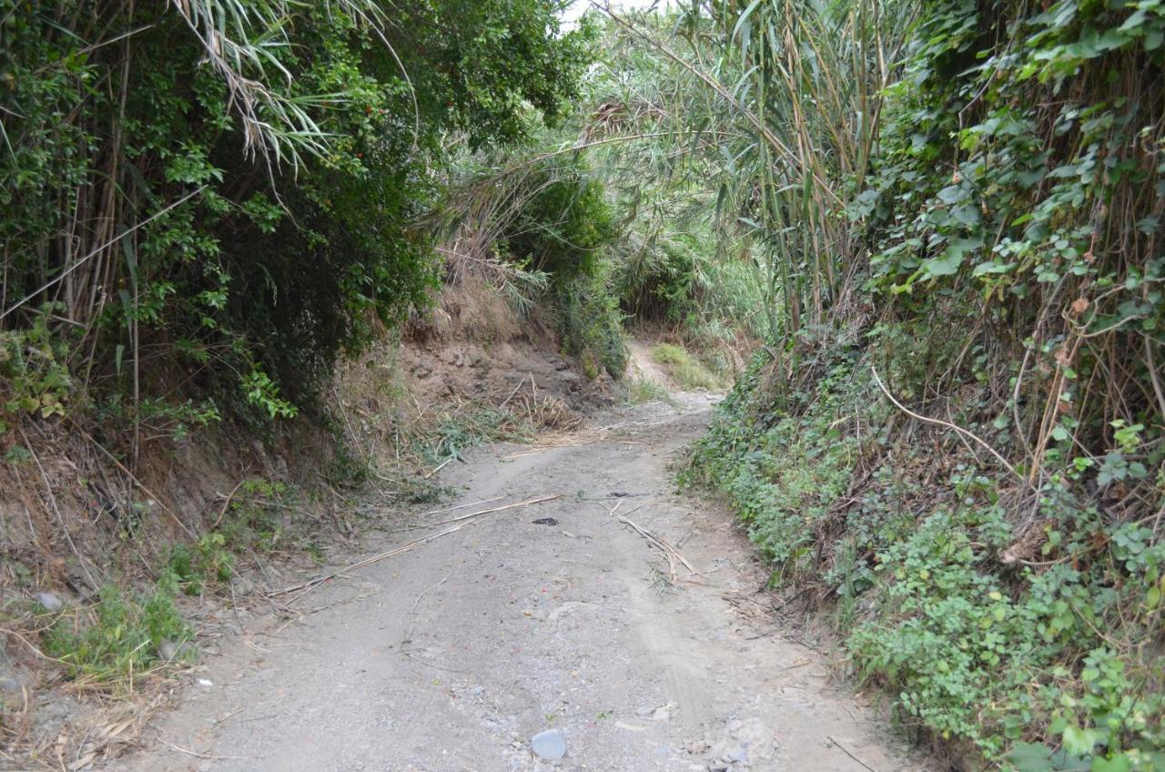 Casa Rural En Almayate Bajo Buitenkant foto